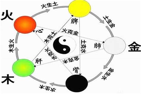 赌博业 五行|赌业五行属什么属性